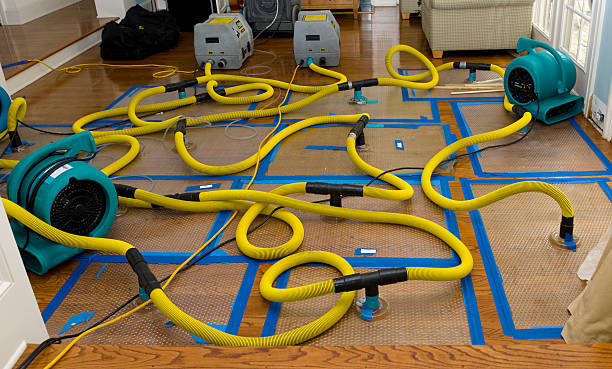 Professional Sewage Cleanup technician working in Maryville, MO